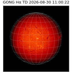 gong - 2026-08-30T11:00:22