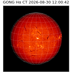 gong - 2026-08-30T12:00:42