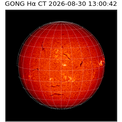 gong - 2026-08-30T13:00:42