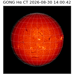 gong - 2026-08-30T14:00:42