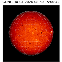 gong - 2026-08-30T15:00:42