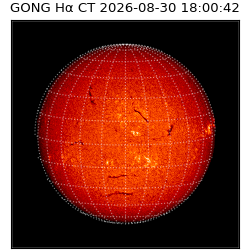 gong - 2026-08-30T18:00:42