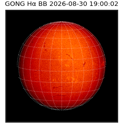 gong - 2026-08-30T19:00:02