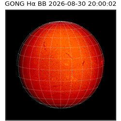 gong - 2026-08-30T20:00:02