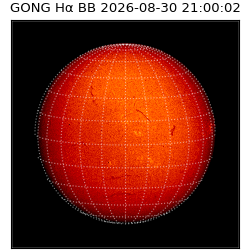 gong - 2026-08-30T21:00:02