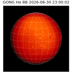 gong - 2026-08-30T23:00:02