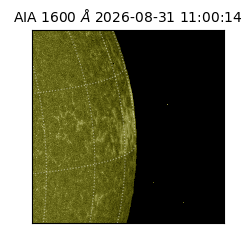 saia - 2026-08-31T11:00:14.120000