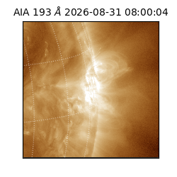 saia - 2026-08-31T08:00:04.840000