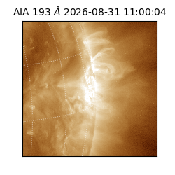 saia - 2026-08-31T11:00:04.840000