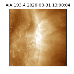 saia - 2026-08-31T13:00:04.840000
