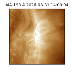 saia - 2026-08-31T14:00:04.840000