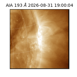 saia - 2026-08-31T19:00:04.840000