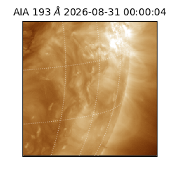 saia - 2026-08-31T00:00:04.842000