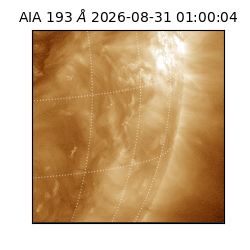 saia - 2026-08-31T01:00:04.840000