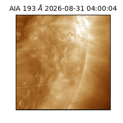 saia - 2026-08-31T04:00:04.840000
