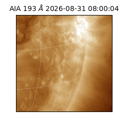 saia - 2026-08-31T08:00:04.840000