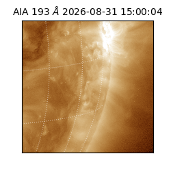saia - 2026-08-31T15:00:04.840000