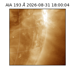 saia - 2026-08-31T18:00:04.840000