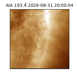 saia - 2026-08-31T20:00:04.840000
