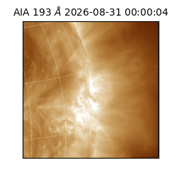 saia - 2026-08-31T00:00:04.842000