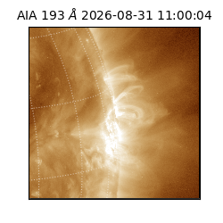 saia - 2026-08-31T11:00:04.840000
