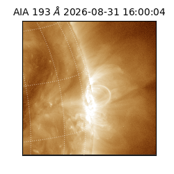 saia - 2026-08-31T16:00:04.840000