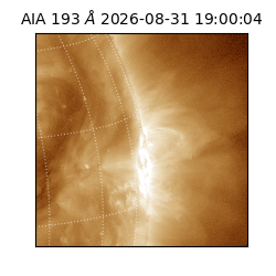 saia - 2026-08-31T19:00:04.840000