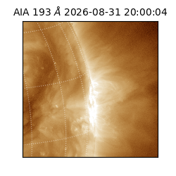 saia - 2026-08-31T20:00:04.840000