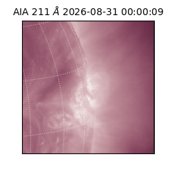 saia - 2026-08-31T00:00:09.623000