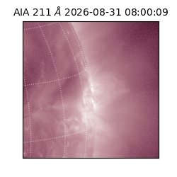 saia - 2026-08-31T08:00:09.640000
