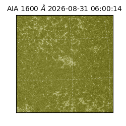 saia - 2026-08-31T06:00:14.120000