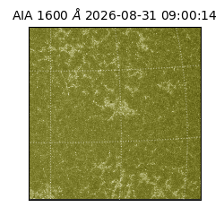saia - 2026-08-31T09:00:14.120000