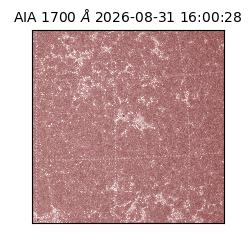 saia - 2026-08-31T16:00:28.730000