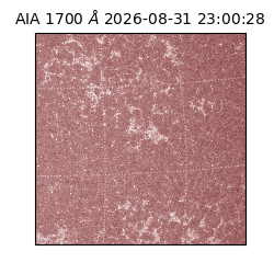 saia - 2026-08-31T23:00:28.720000