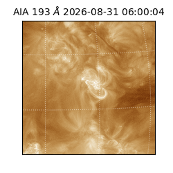 saia - 2026-08-31T06:00:04.840000