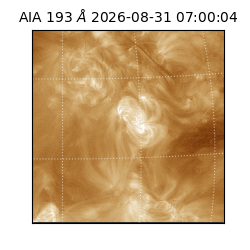 saia - 2026-08-31T07:00:04.840000