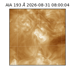 saia - 2026-08-31T08:00:04.840000