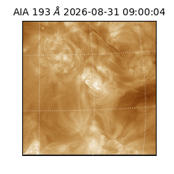 saia - 2026-08-31T09:00:04.840000