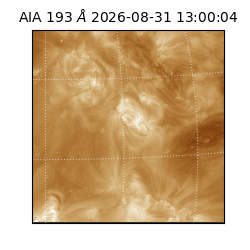 saia - 2026-08-31T13:00:04.840000