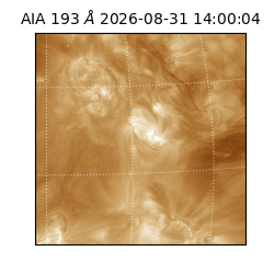 saia - 2026-08-31T14:00:04.840000