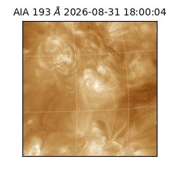 saia - 2026-08-31T18:00:04.840000