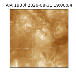saia - 2026-08-31T19:00:04.840000
