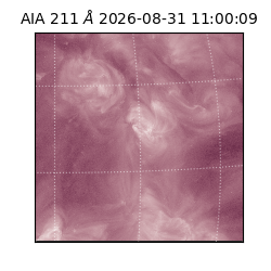 saia - 2026-08-31T11:00:09.620000