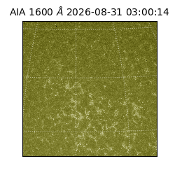 saia - 2026-08-31T03:00:14.120000