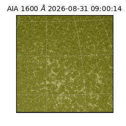 saia - 2026-08-31T09:00:14.120000