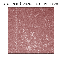 saia - 2026-08-31T19:00:28.730000