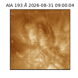 saia - 2026-08-31T09:00:04.840000