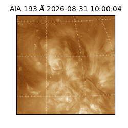 saia - 2026-08-31T10:00:04.840000