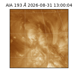 saia - 2026-08-31T13:00:04.840000