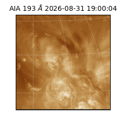 saia - 2026-08-31T19:00:04.840000